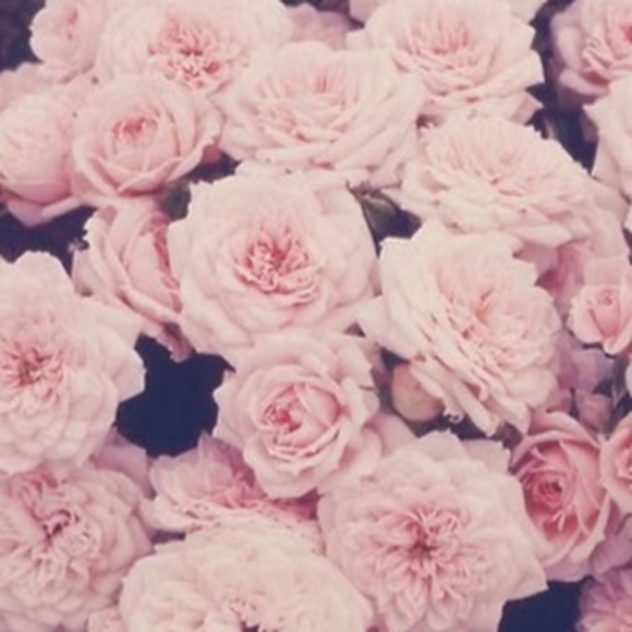 Meet your Posher, Alexa - Picture 1 of 1